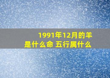 1991年12月的羊是什么命 五行属什么